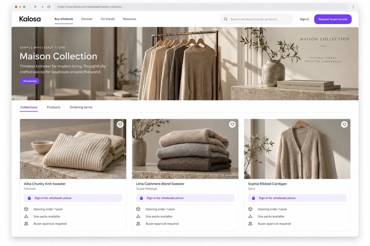 Wholesale storefront concept showing collections and buyer access requirements